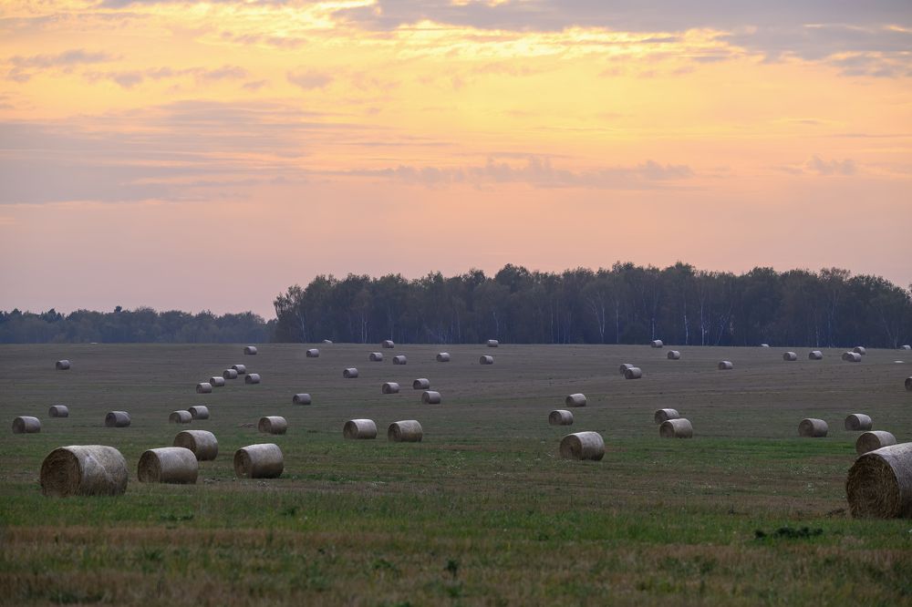 Photograph by Мария Ирешева