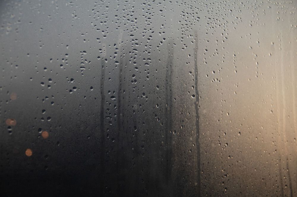 Вечерние капли 2 / Evening Drops 2