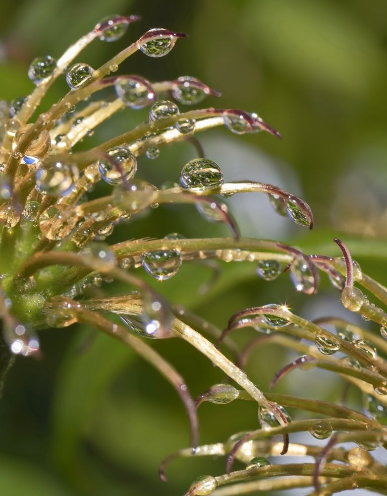 Photograph by Валентина Куренкова