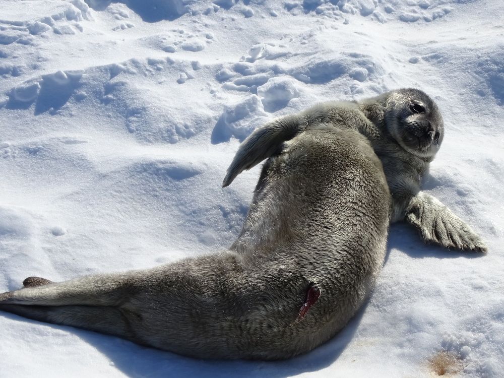 Photograph by MAKSIM MARKOV