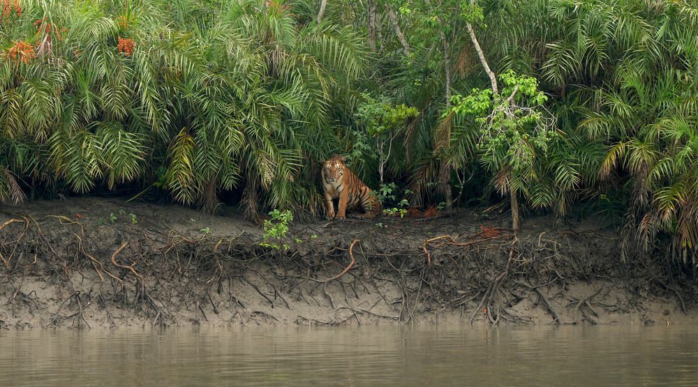 Photograph by Nirmalya Chakraborty
