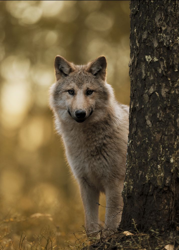 Photograph by Ernestas Balcikonis