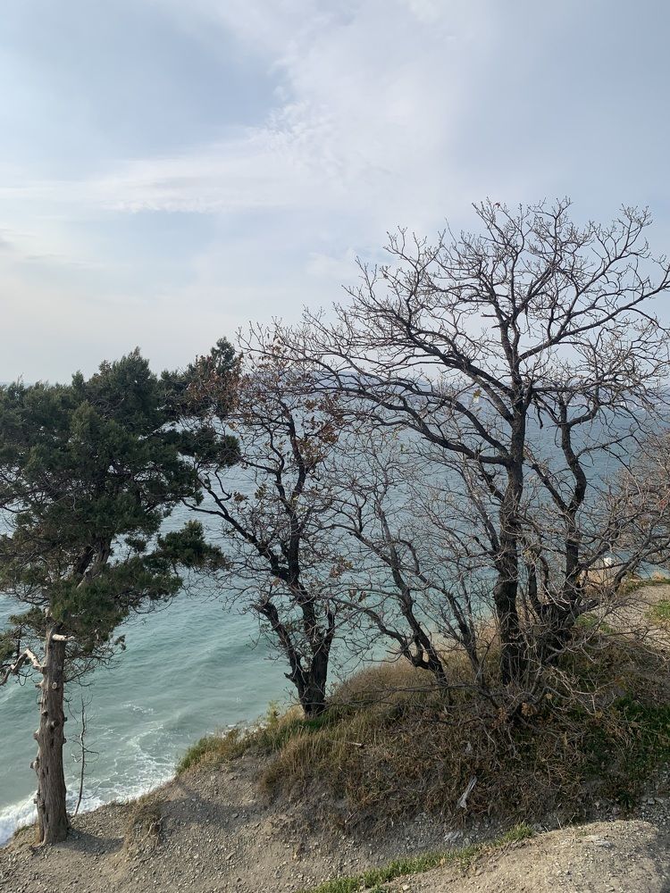 Фотография автора Виктория Ляпина