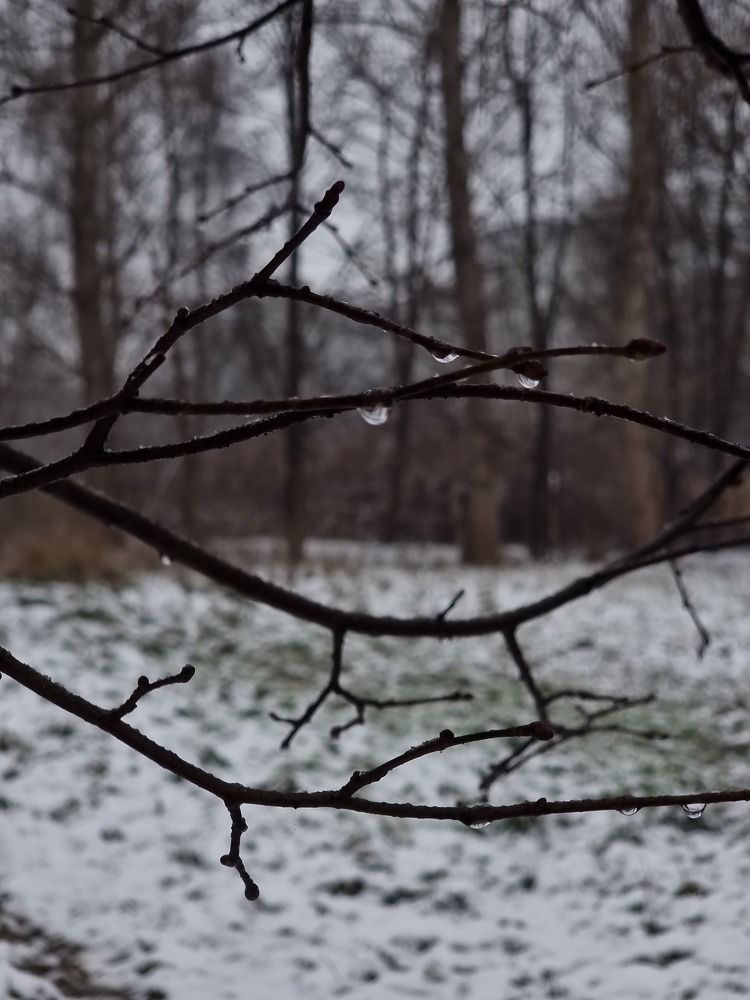 Фотография автора Светлана Алексеева