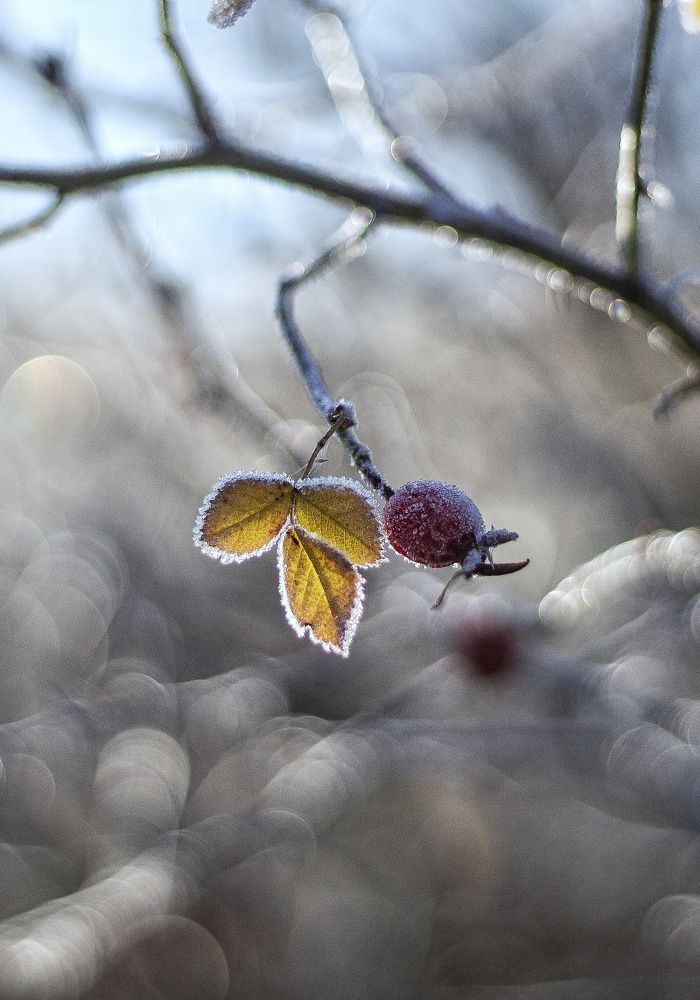 Photograph by Наталья Исиченко