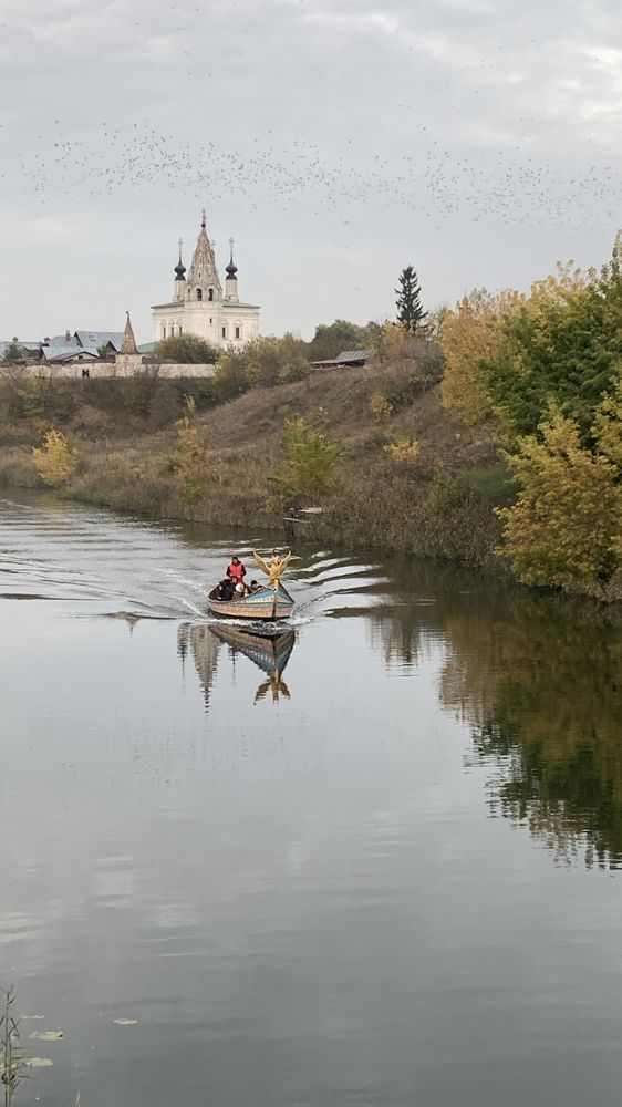 Фотография автора Виктория Ляпина