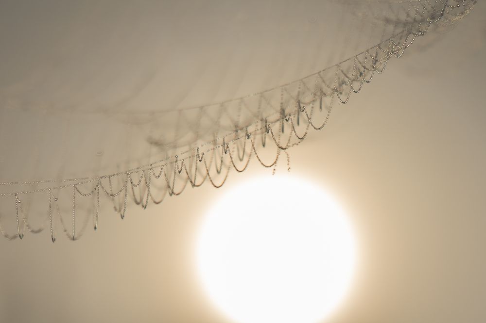 Photograph by Евгений Калагаев