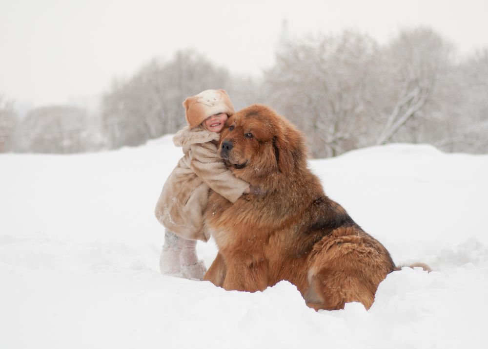 Photograph by Valentina Shikulina