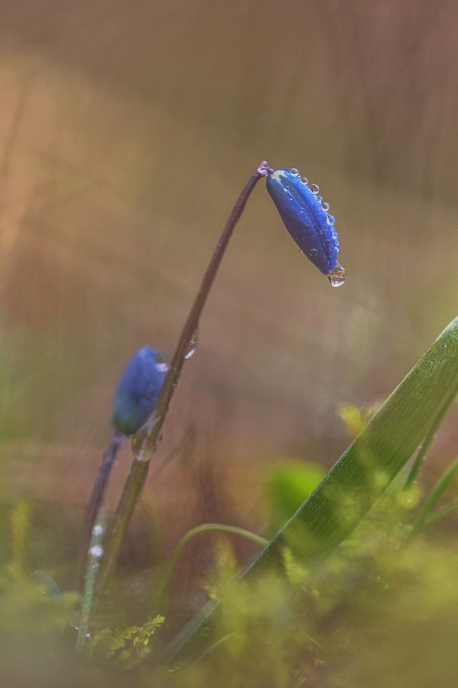 Photograph by ПУЗЕНКО ДМИТРИЙ