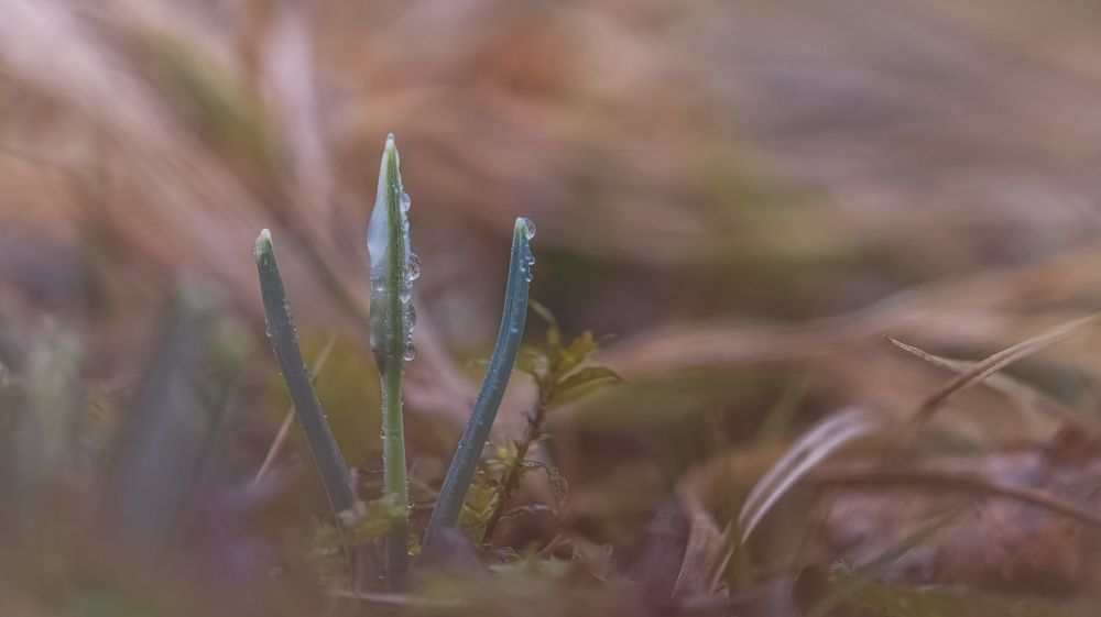 Photograph by ПУЗЕНКО ДМИТРИЙ