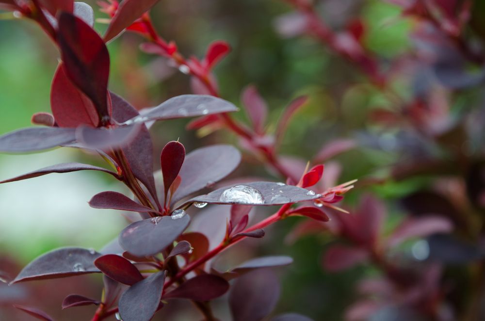 Photograph by Ксения Тенькина