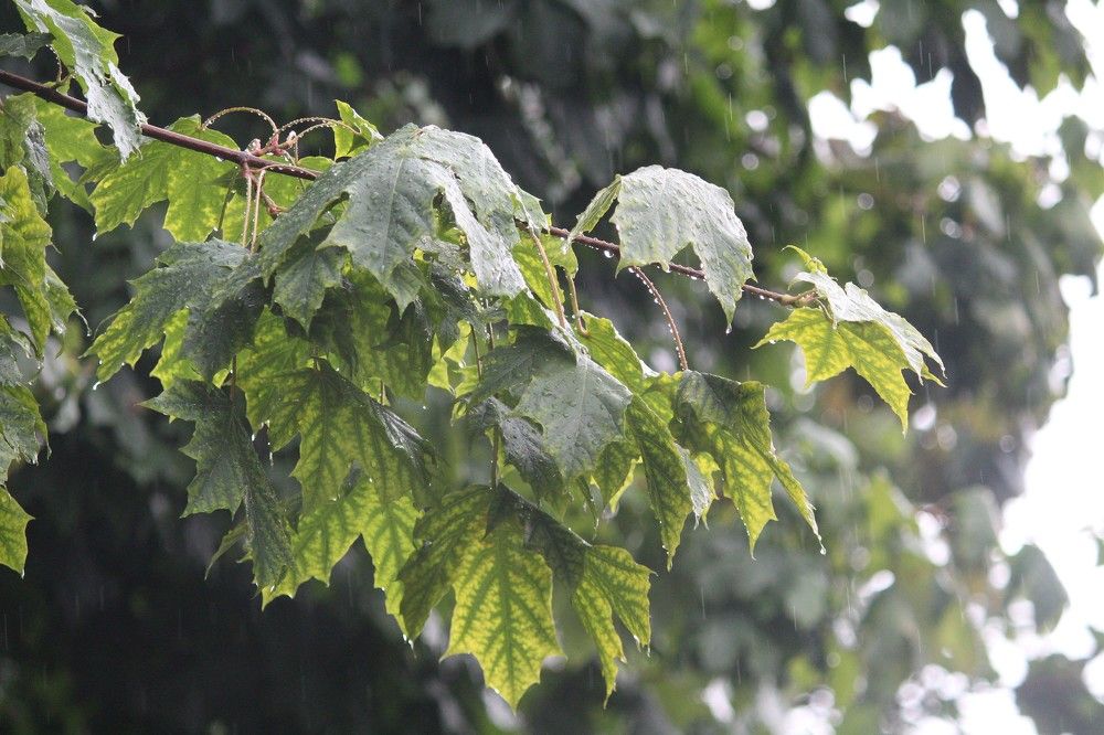 Photograph by Наталья Резванова