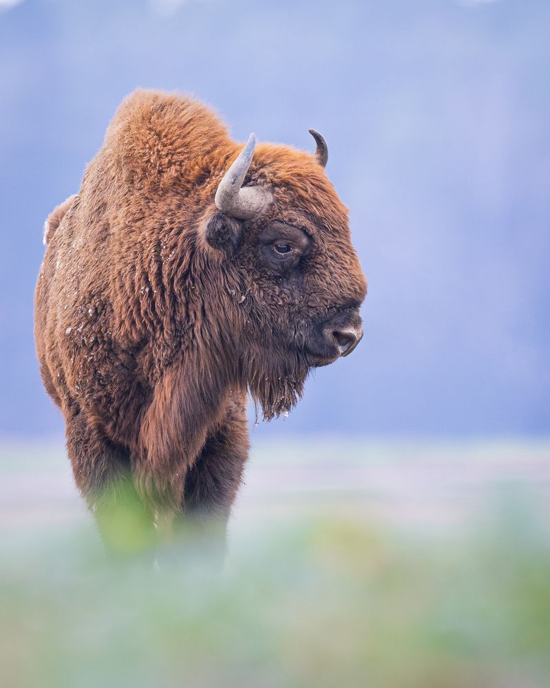 Photograph by Logeswaranathan Mohanaraj