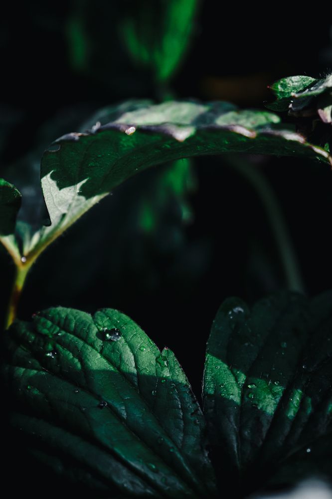 Фотография автора Илья Малеев