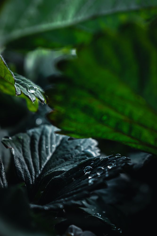 Фотография автора Илья Малеев