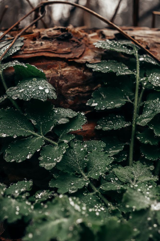Фотография автора Илья Малеев