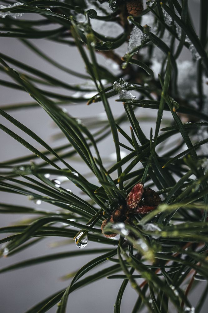 Фотография автора Илья Малеев