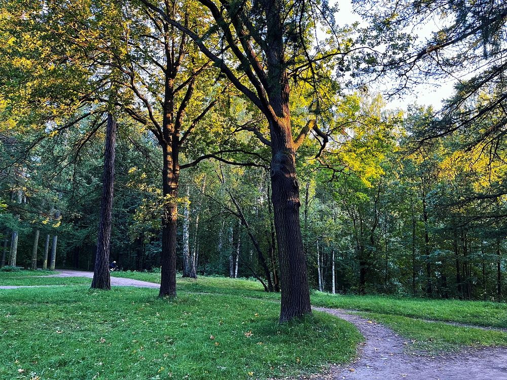 Вечер... в Удельном...!!!