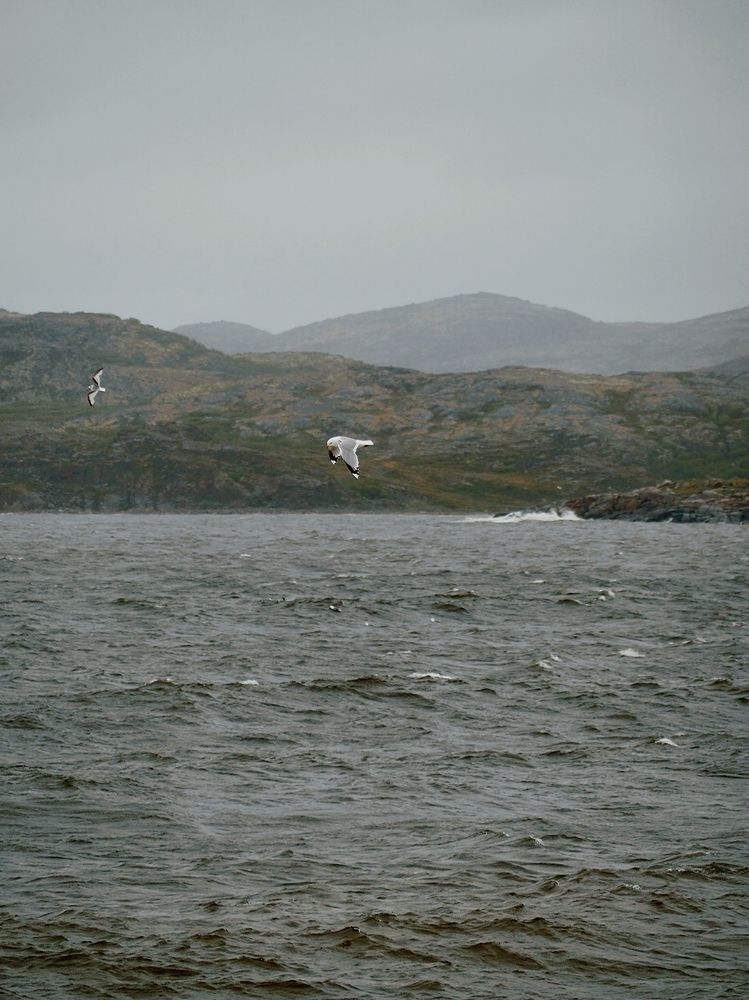 Photograph by Юлия Belonogaia