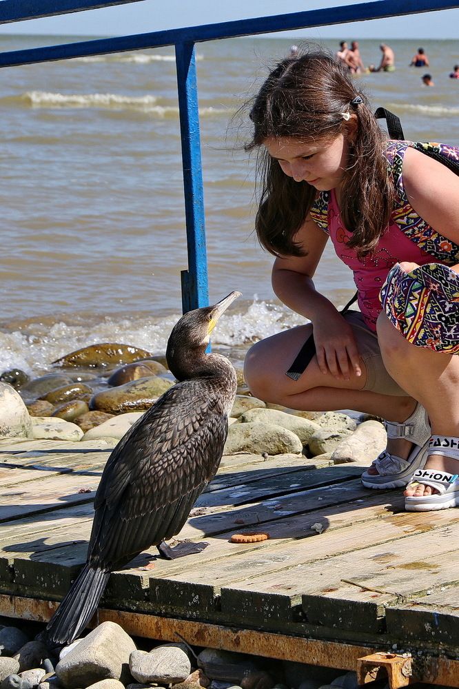 Фотография автора Александр Челмодеев