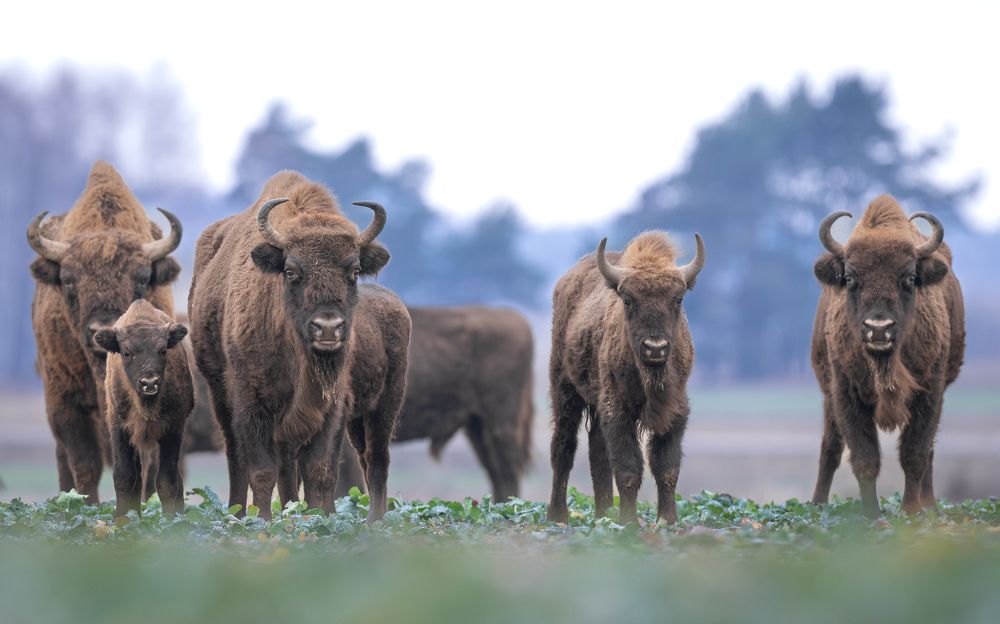 Photograph by Logeswaranathan Mohanaraj