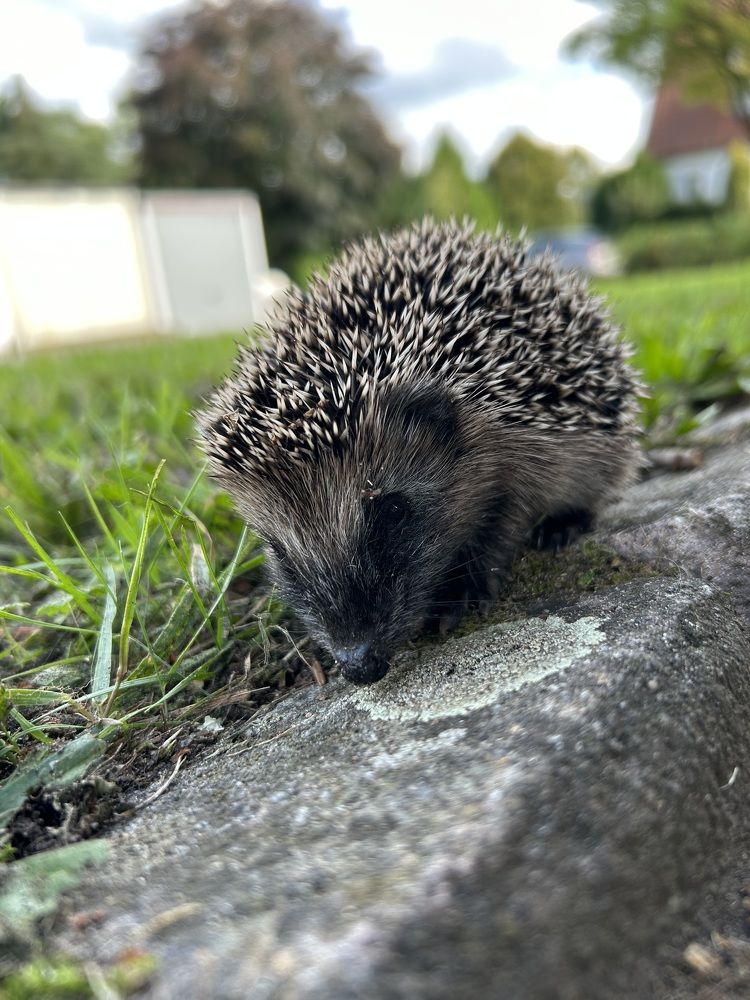 Photograph by Swetlana Brumm