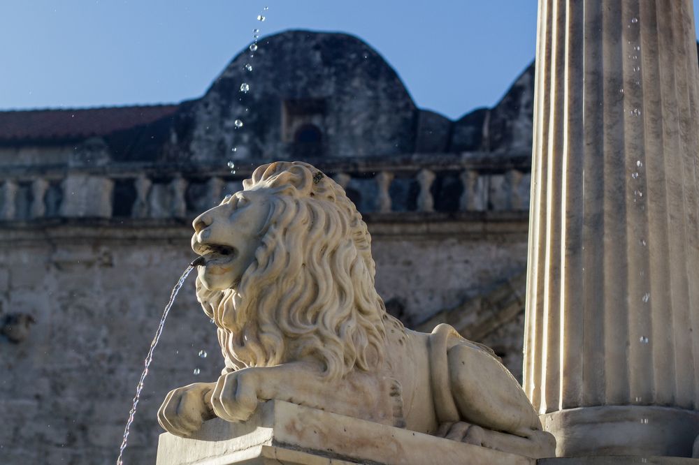 Photograph by Evelyn Carnot Montes