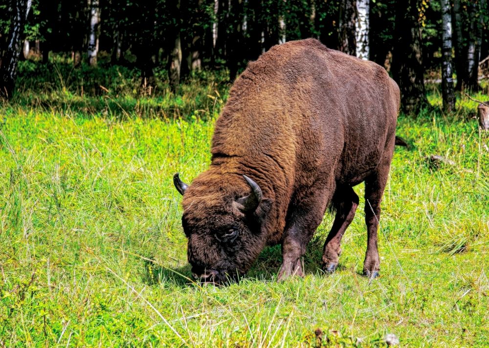 Photograph by Сергей Аллагулов