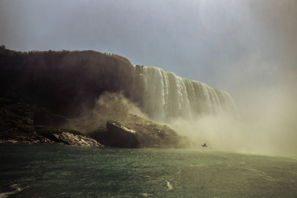 Photograph by Aleksandra