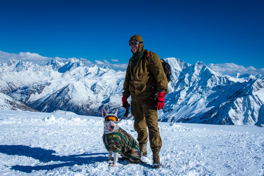 Photograph by Людмила Ковалева