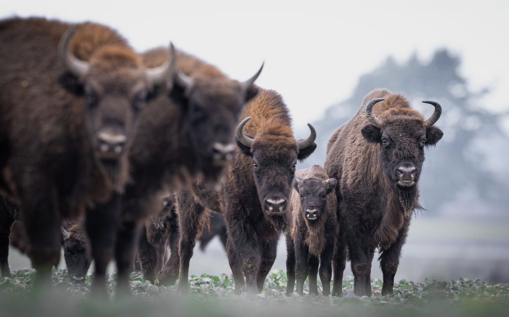 Photograph by Logeswaranathan Mohanaraj