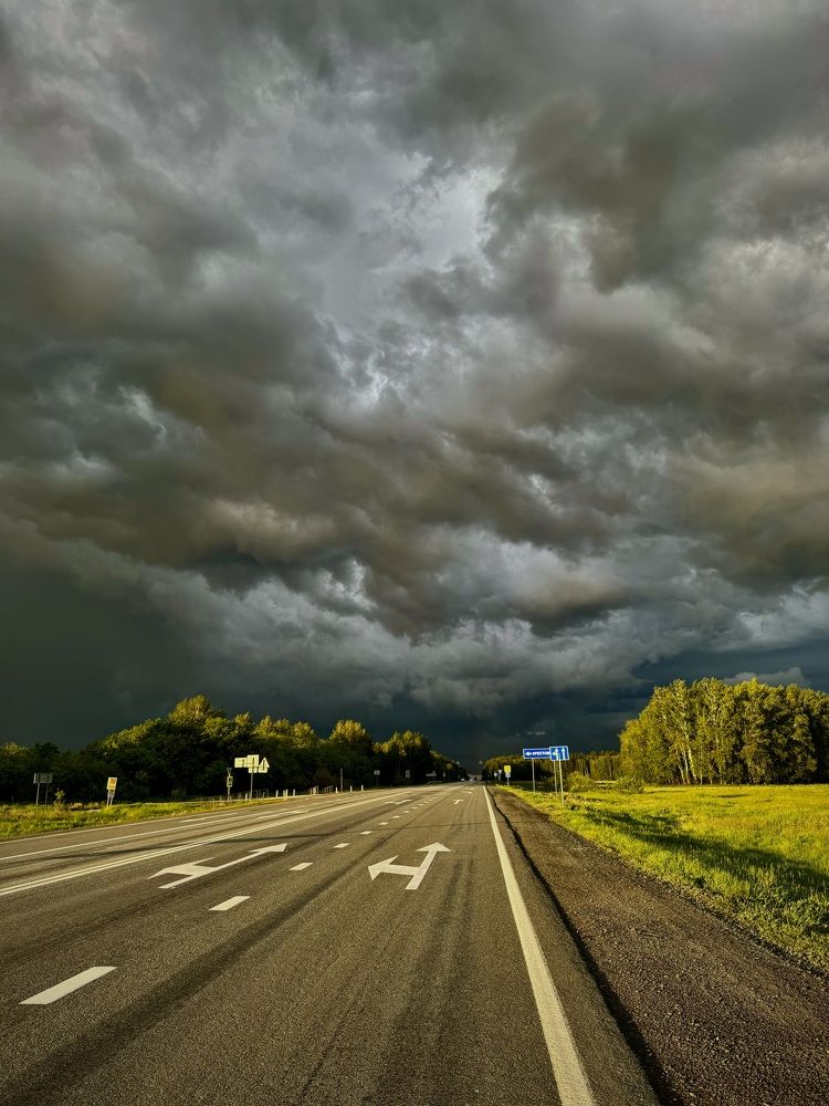 Перед грозой