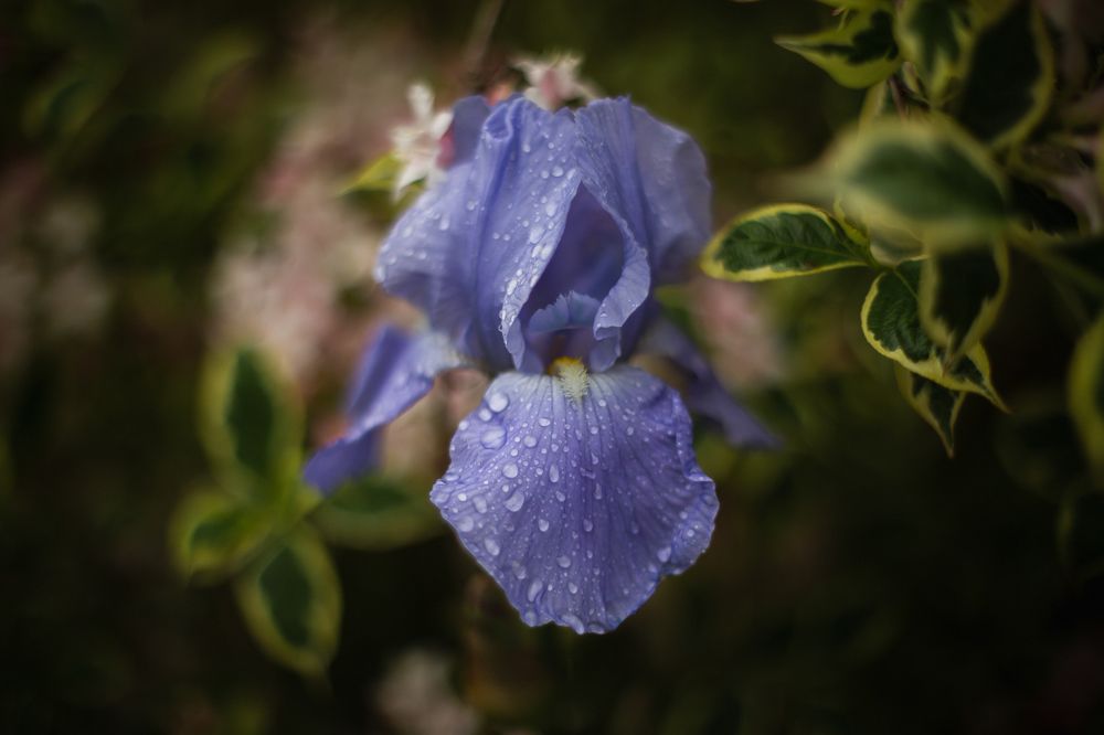 Photograph by Филипп Бабенко