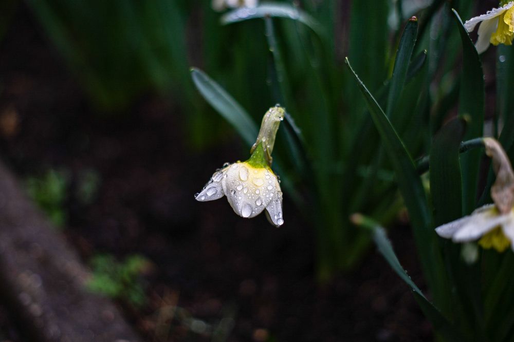 Photograph by Филипп Бабенко