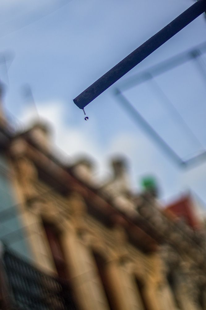 Photograph by Evelyn Carnot Montes