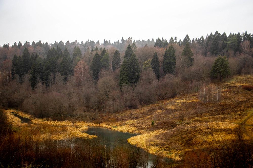 Photograph by Ксения Щукина