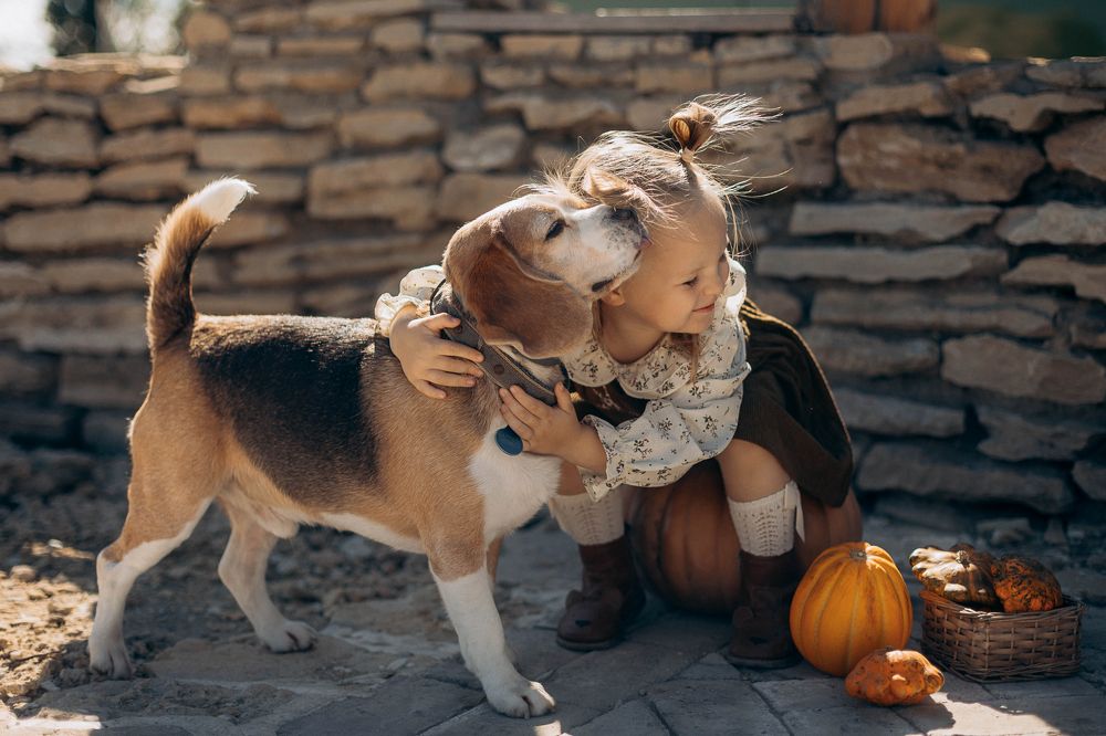 Photograph by Ольга Рязанцева