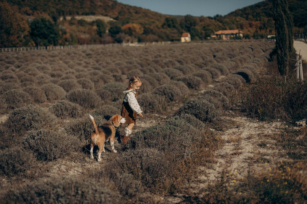 Photograph by Ольга Рязанцева