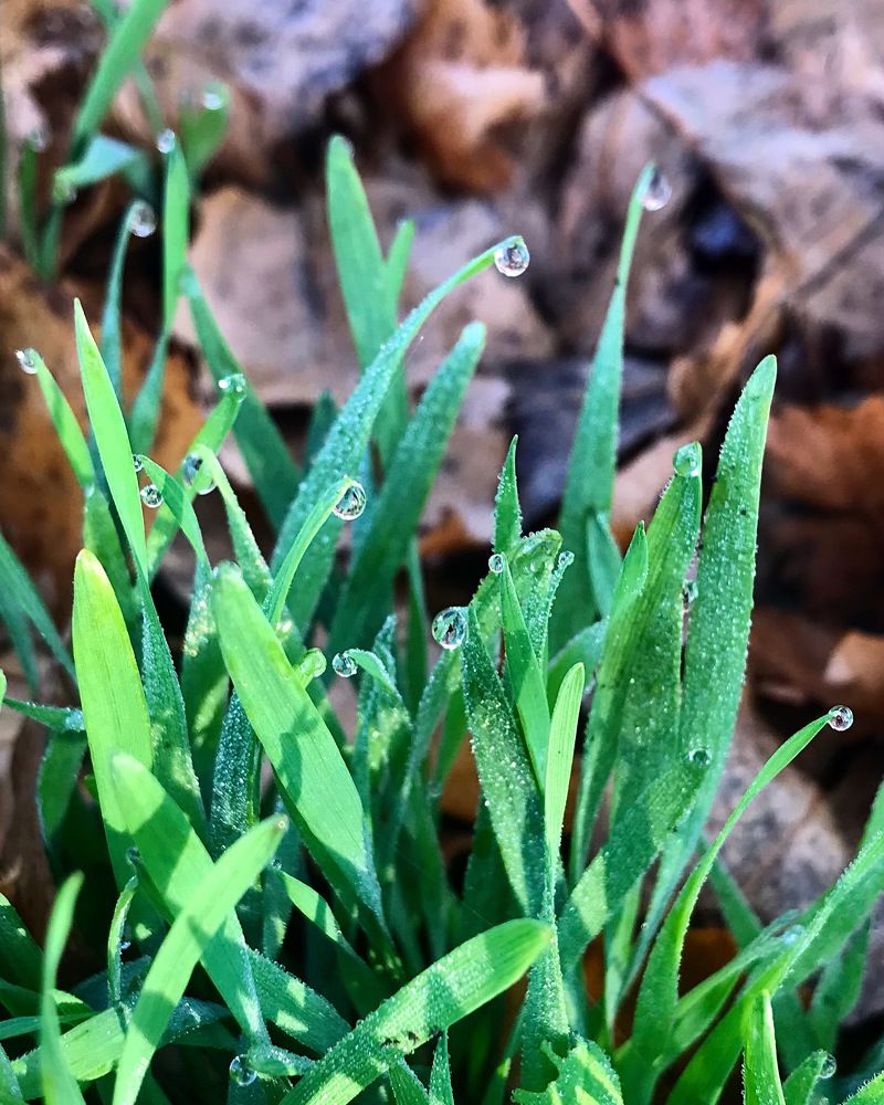 Photograph by Шестакова Наталья
