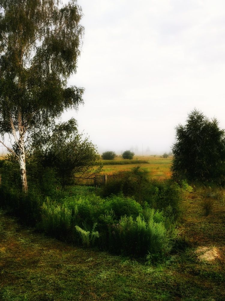 Photograph by Наталья Асоскова