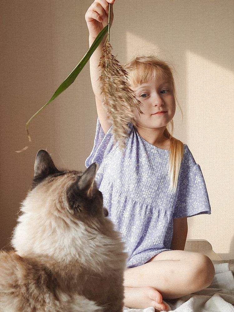 Photograph by Елена Гребенюк