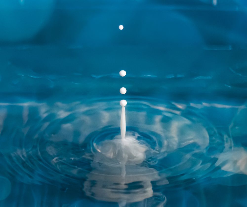 Photograph by Елизавета Нефедова