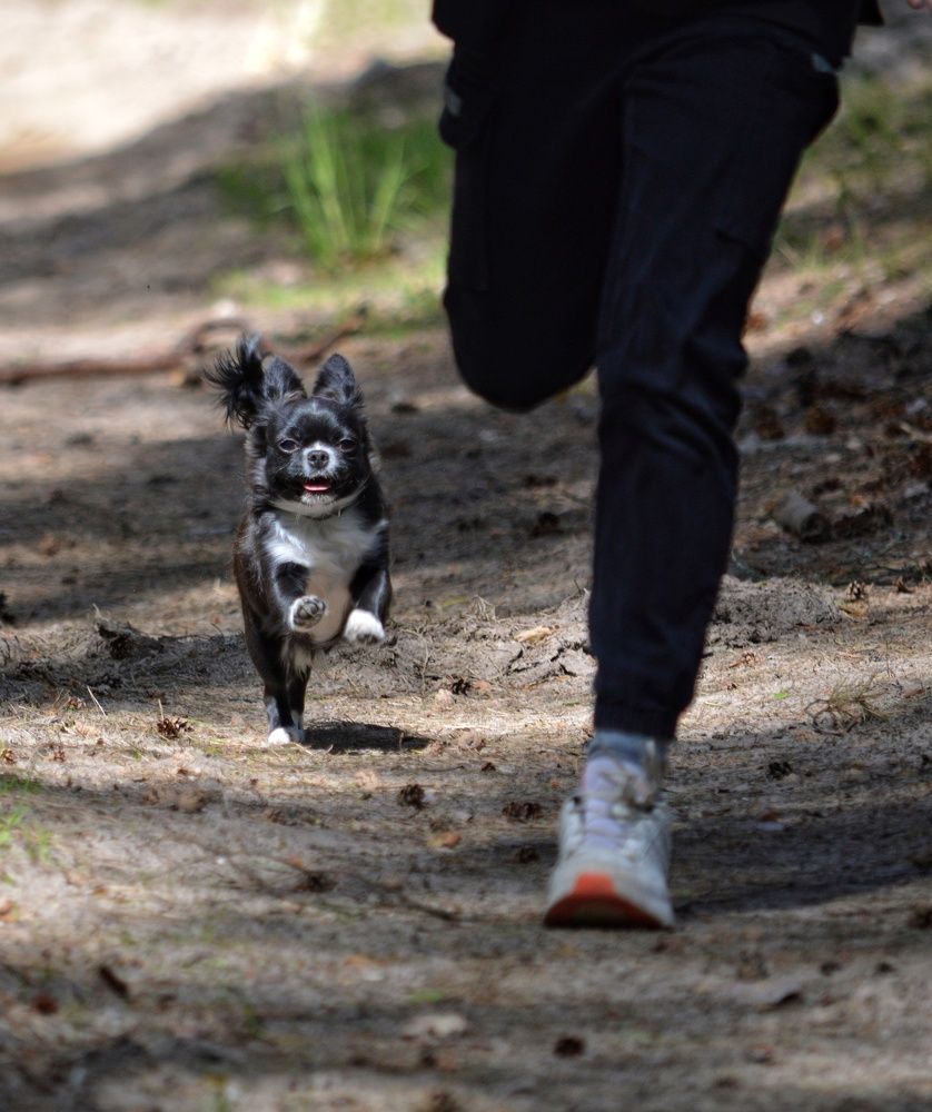 Photograph by Анна Зорька