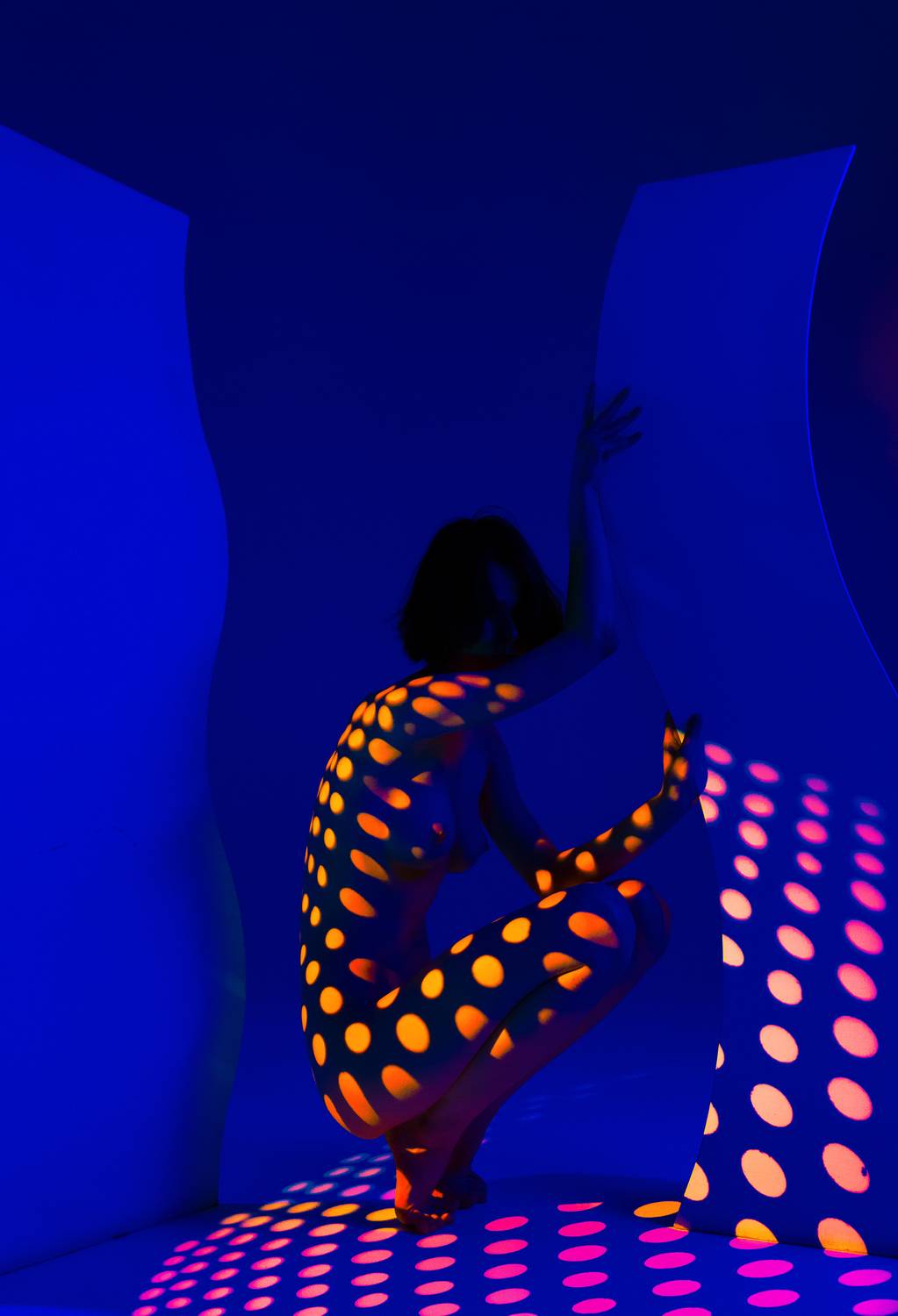 Photo #11482388