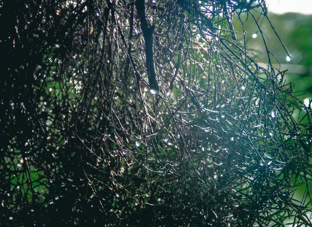 Photograph by Tina Domingos