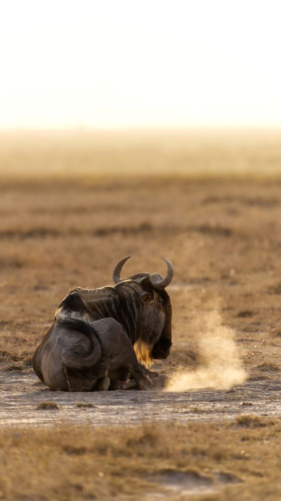 Photograph by Cristiano Vasques