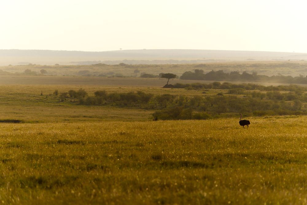 Photograph by Cristiano Vasques