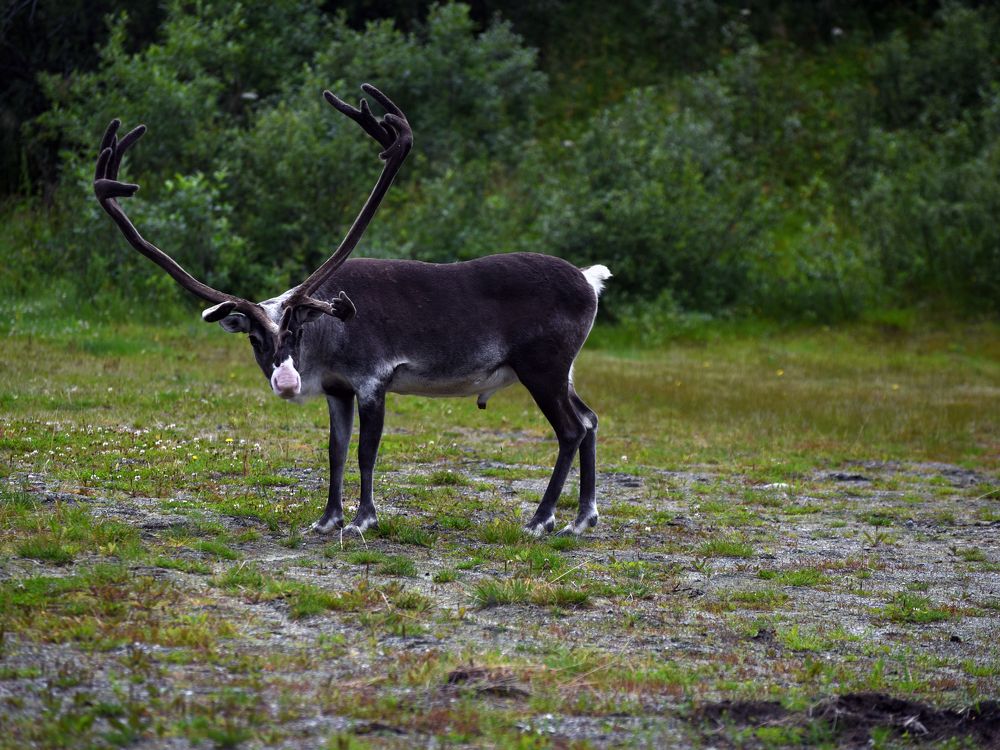 Photograph by Крицак Ольга