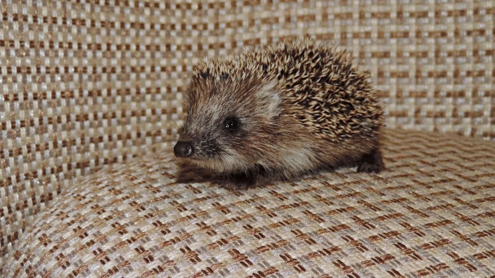 Photograph by Мария Широких