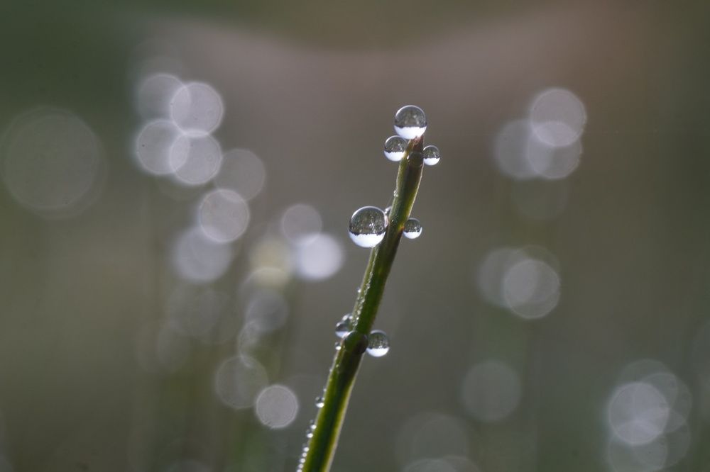 Photograph by Алфия Бугакова